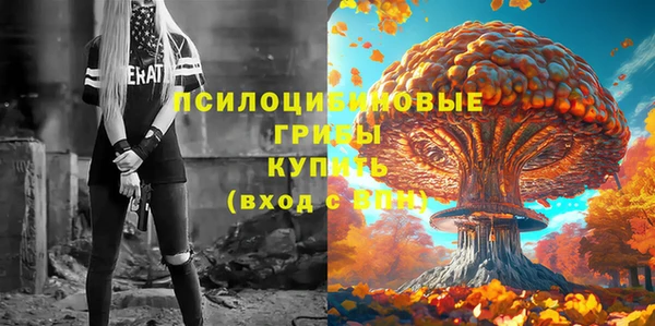 амф Алзамай
